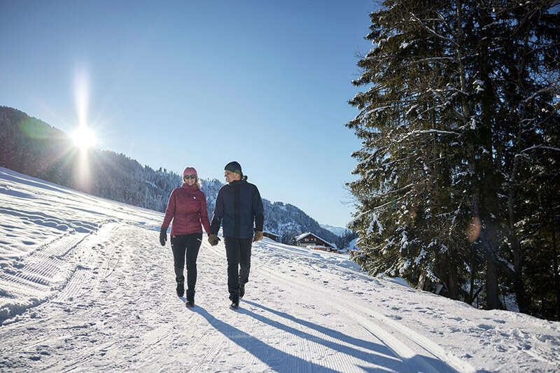 Winterwandern am Ochsengarten